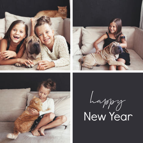 Foto kerstkaart met vlakverdeling en foto gezin met huisdieren