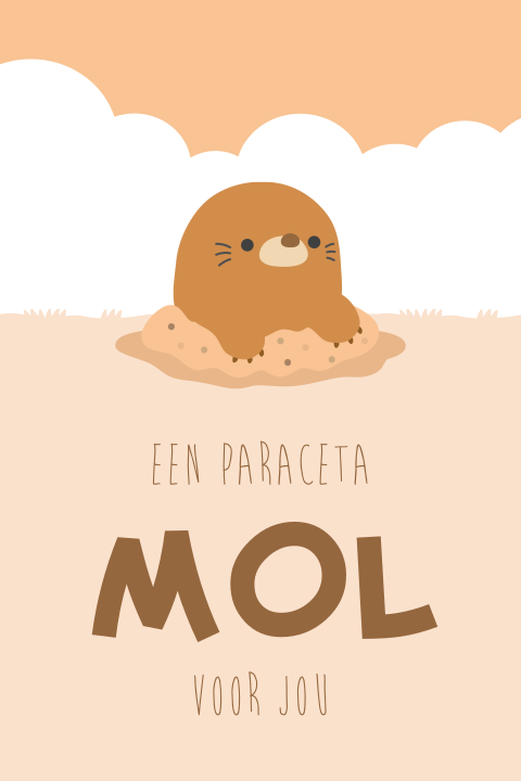 Grappige beterschapskaart paracetamol voor jou met mol