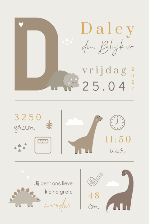 Dinosaurussen geboortesymbolen geboortekaartje voor een jongen