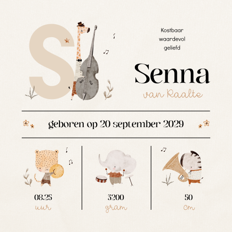 Geboortegegevens unisex geboortekaartje met dieren en muziek