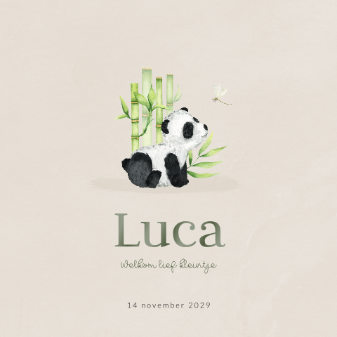 Unisex geboortekaartje met een panda en hoogglans en afgeronde hoeken