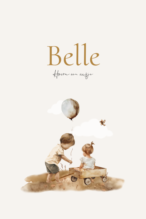 Illustratief geboortekaartje meisje in kar met grote broer met ballon