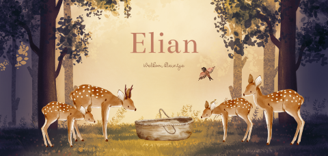 Unisex geboortekaartje met baby in rieten mand in het bos met hertjes