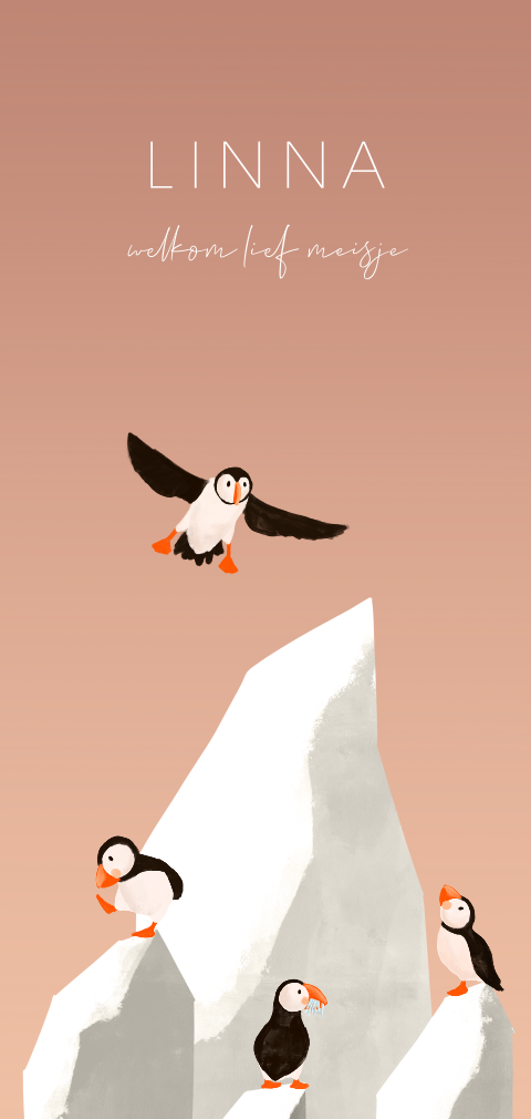 Papegaaiduiker geboortekaartje voor een meisje met ijsbergen