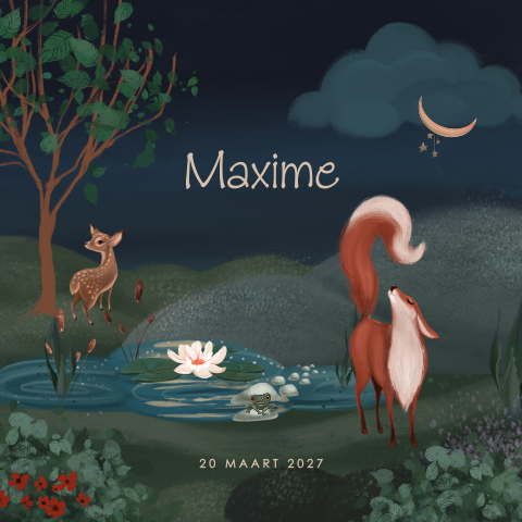 Vos en hertje geboortekaartje unisex met nachthemel