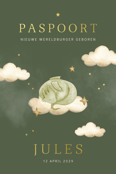 Jongens geboortekaartje paspoort met draak tussen wolken