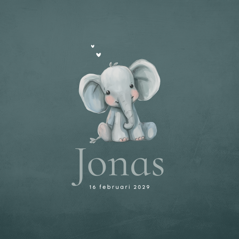 Jongens geboortekaartje met schattig olifantje