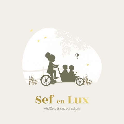 Silhouet tweeling in bakfiets geboortekaartje met goudfolie