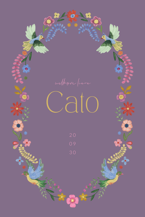 Boho eclectic geboortekaartje voor een meisje met vogels en bloemen