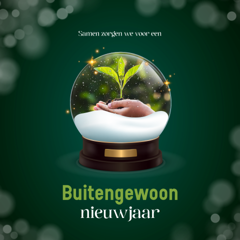 Natuur kerstkaart zakelijk met sneeuwbol en foto plantje