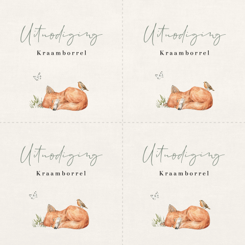 Neutrale unisex kraamborrel minikaartjes met baby vos