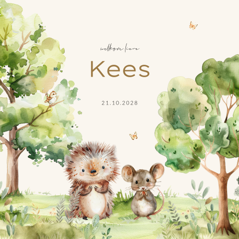 Unisex bosdieren geboortekaartje met schattige egel en muis