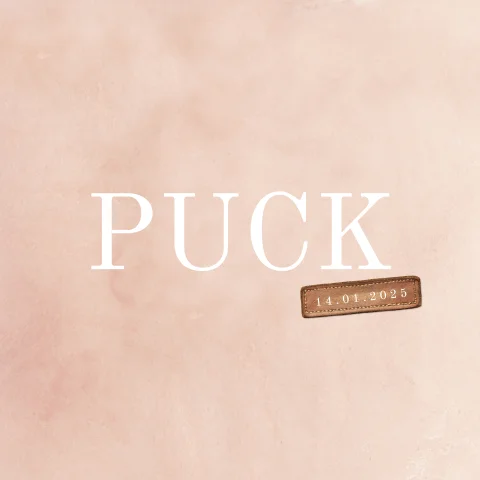 Basic geboortekaartje meisje met leren label