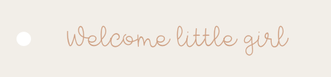 Welcome little girl langwerpig label geboorte (per 16 stuks)