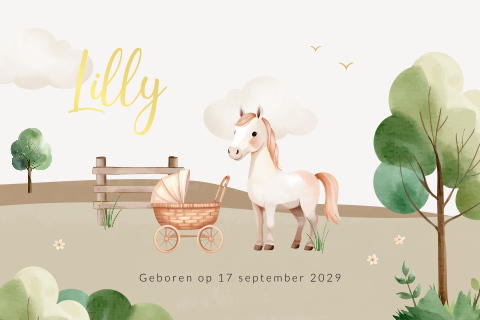 Paarden geboortekaartje voor een meisje met kinderwagen en foliedruk
