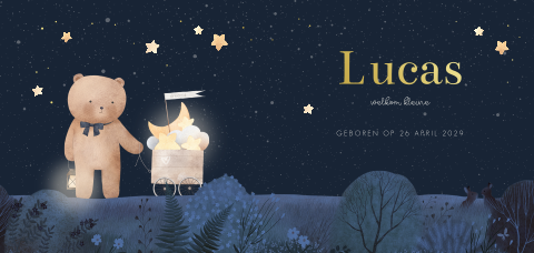 Jongens geboortekaartje met beer in de nacht tussen de sterren en maan