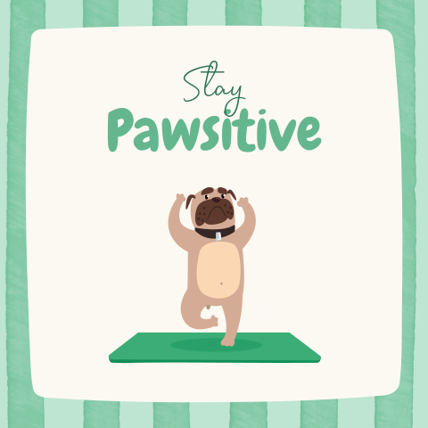 Stay pawsitive beterschap wenskaart met hond en matje