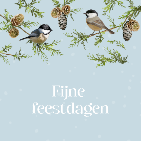 Vogel kerstkaart met koolmezen op dennentak