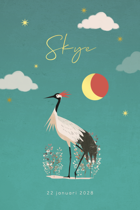 Luxe geboortekaartje jongen met kraanvogel, wolken, sterren en maan