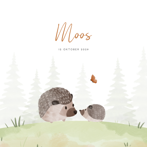 Lief babykaartje voor een zoon met egeltjes in aquarel