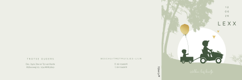 Zigzag geboortekaartje voor een jongen met silhouet broertjes