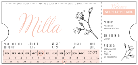 Ticket geboortekaartje meisje origineel en retro