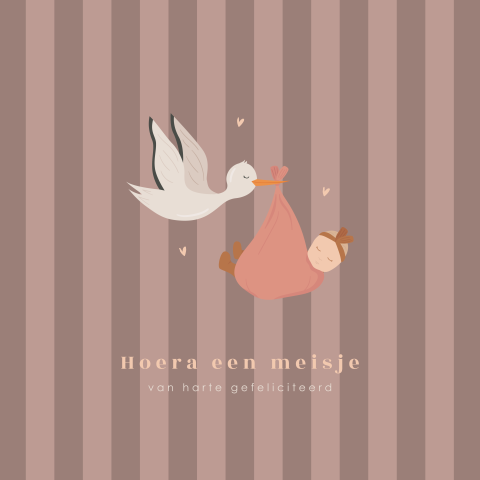 Felicitatiekaart geboorte meisje met ooievaar