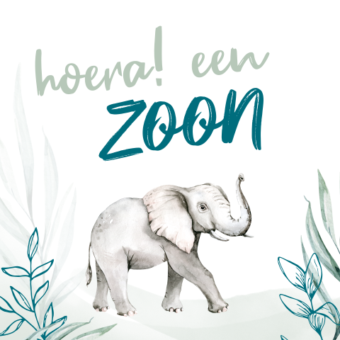 Jungle felicitatiekaart geboorte zoon met olifant