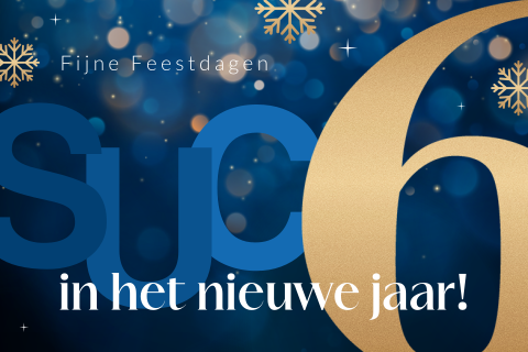 Zakelijke kerstkaart succes in het nieuwe jaar en ijskristallen