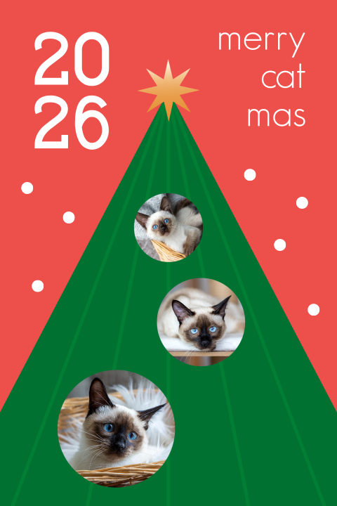 Merry Catmas kerstkaart goed doel met foto's en kerstboom