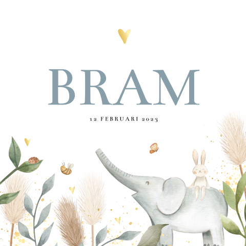 Geboortekaartje met olifantje en konijntje