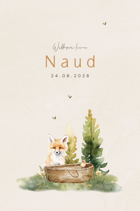 Geboortekaartje jongen met aquarel illustratie vosje met baby mand
