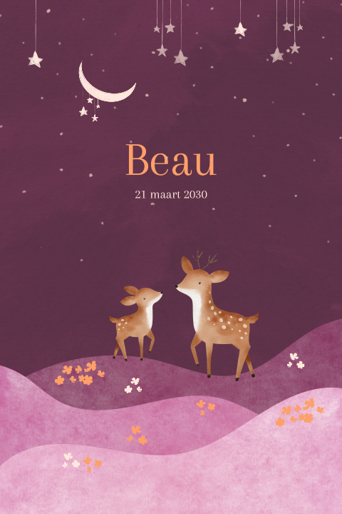 Meisjes geboortekaartje met hertjes in de nacht met sterren en maan