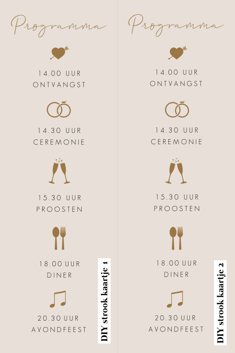 Programma minikaartjes bruiloft