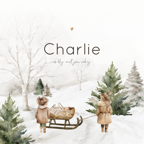 Geboortekaartje unisex winter voor een derde kindje met mand en slee
