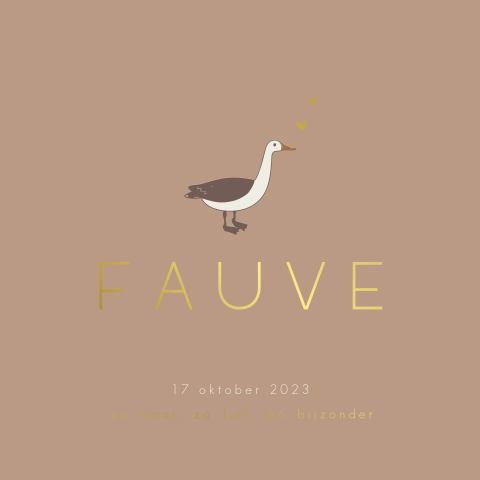 Foliedruk meisjeskaartje Jollein collectie Goose