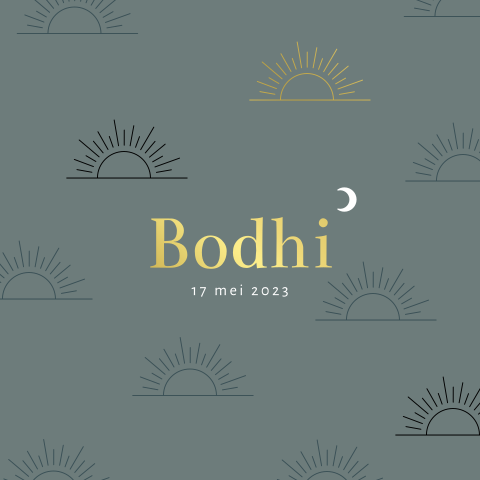 Goudfolie geboortekaartje jongen met ondergaande zon