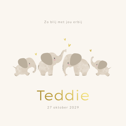 Foliedruk unisex geboortekaartje met schattige olifanten