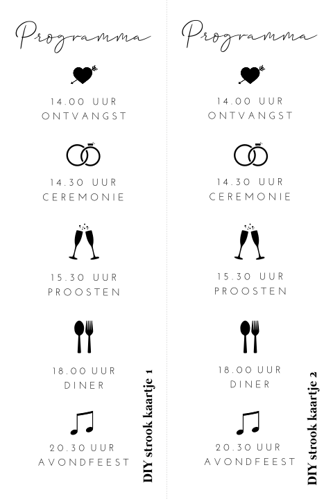 DIY twee stroken met programma