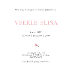 getekend geboortekaartje twee zusjes en wandelwangen