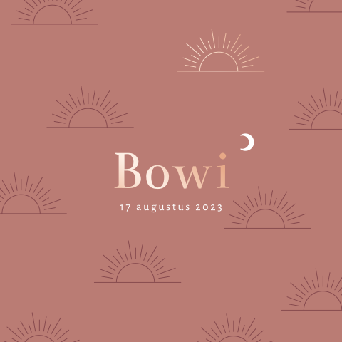 Roségoudfolie geboortekaartje meisje met ondergaande zon