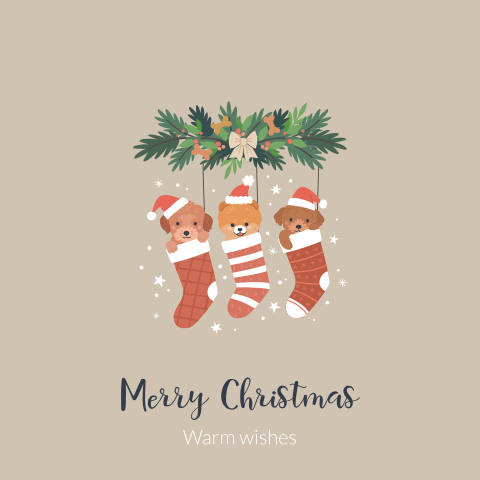 Kerstkaart hondjes in kerstsok