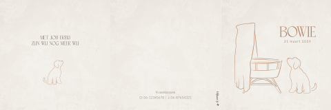 Zigzag unisex geboortekaartje met lijntekening labradoodle en wieg