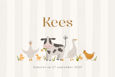 Unisex boerderij geboortekaartje met koe, gans en kip