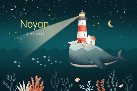 Luxe geboortekaartje voor een jongen met walvis, sterren en vuurtoren