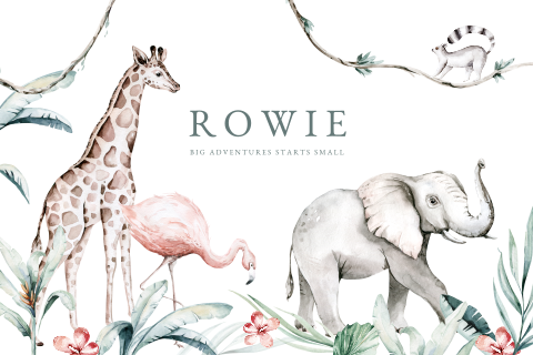 Jungle dieren geboortekaartje voor een jongen