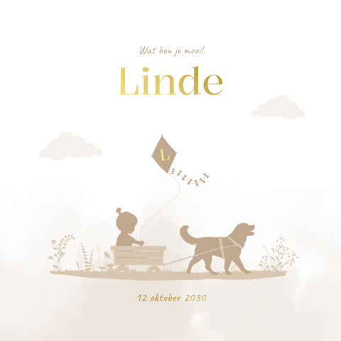 Luxe meisjes geboortekaartje met silhouet baby in kar met hond