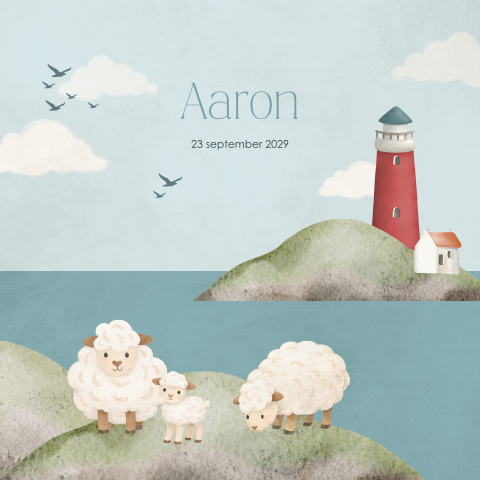 Jongens geboortekaartje met vuurtoren op Texel en schapen