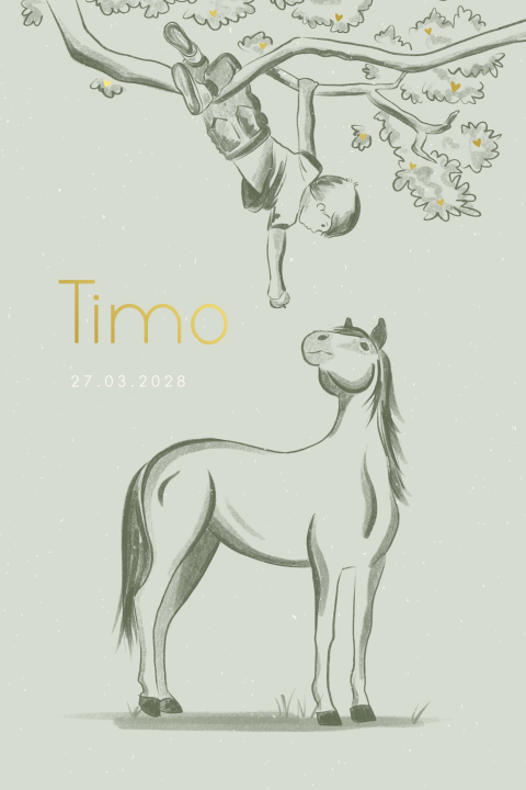 Jongen met paard geboortekaartje met foliedruk