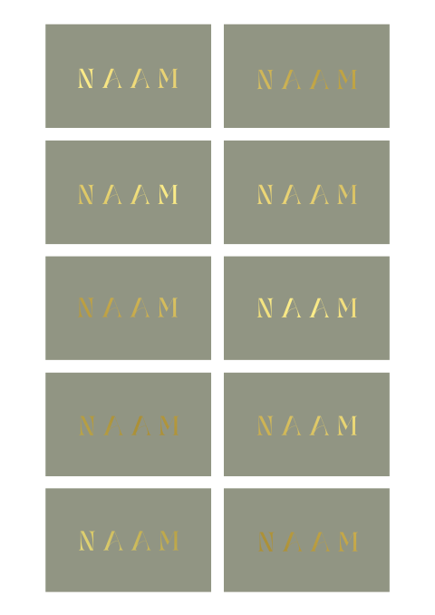 Bruiloft naamkaartjes rustig met foliedruk